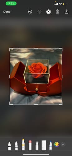 Customer photo review of Gift for Wife "I Can't Live Without You" Necklace With Heart Box and Red Rose Surprise