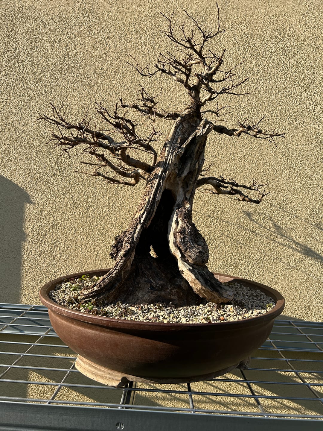 Customer photo review of CHERNOBYL CB® (Autunno Nucleare 2.0)