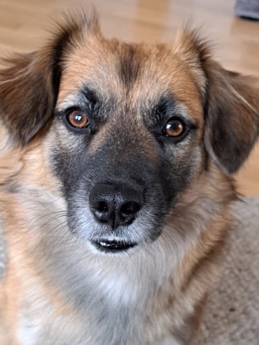 Customer photo review of Relax Time