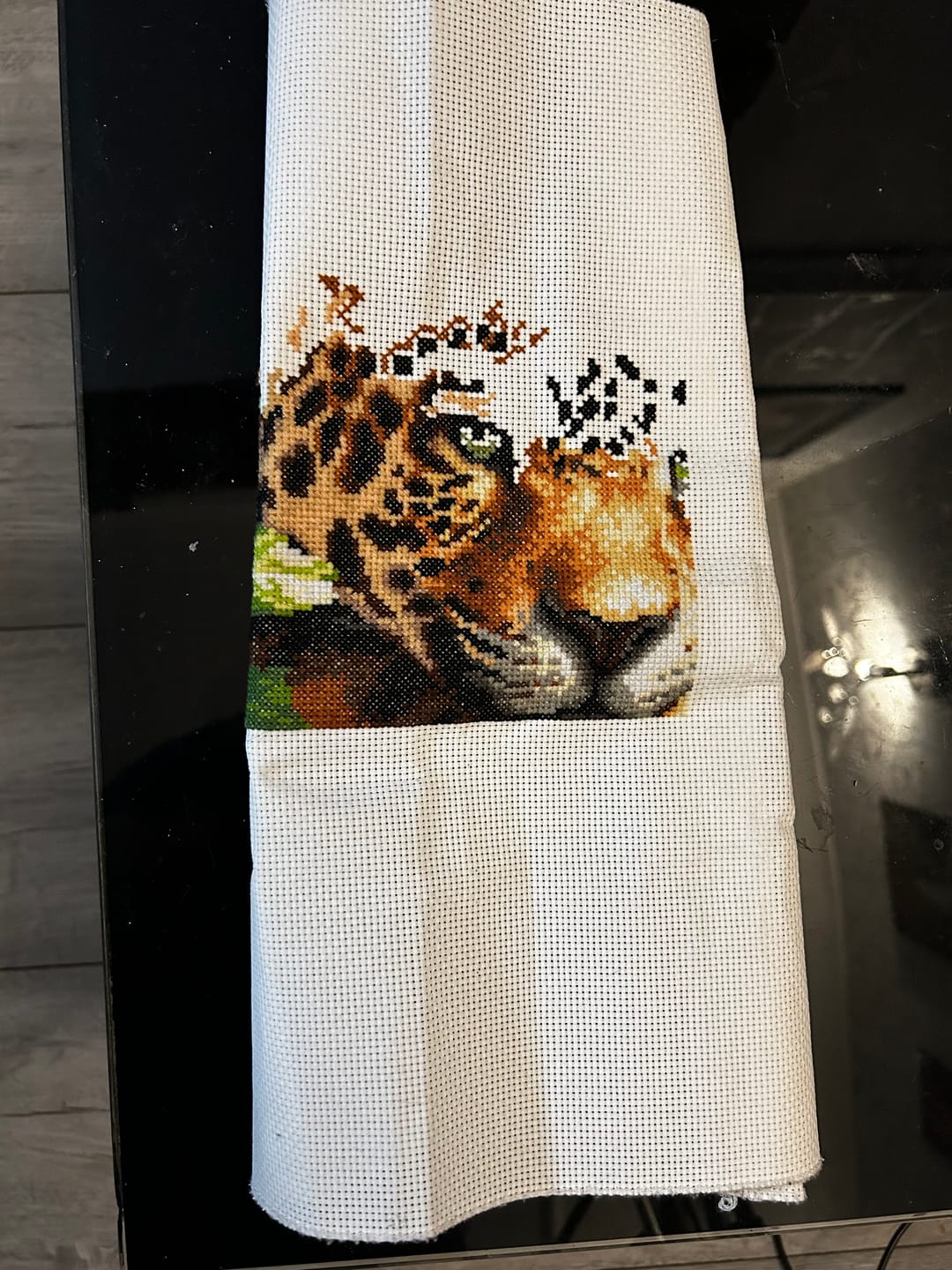 Customer photo review of Leopard