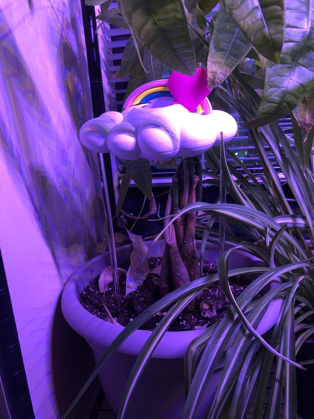 Customer photo review of Original Dripping Rain Cloud with Pink Heart and Pastel Rainbow Charms