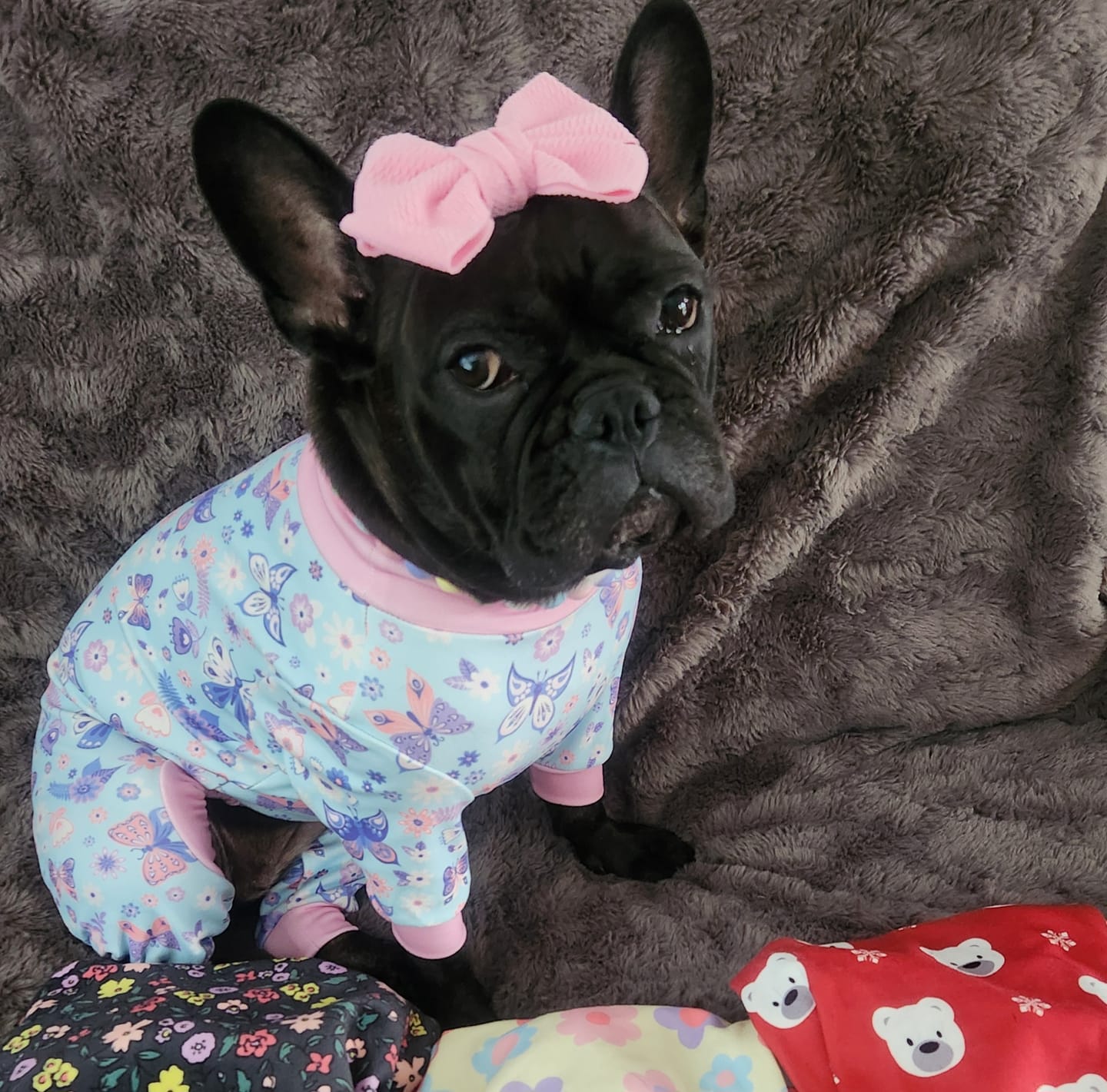 Customer photo review of Dog Pajama - Butterfly