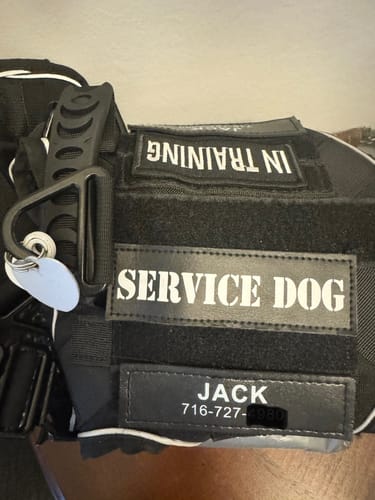 Customer photo review of Custom Hook & Loop Patch For Harness (1 Pair)