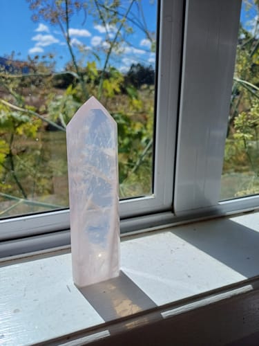 Customer photo review of freerange