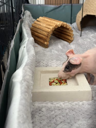 Customer photo review of Set of 2 Fleece Liners | Velvet Gray | Plush Bedding