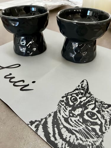 Customer photo review of Ceramic Raised Pet Bowl for Cats and Dogs