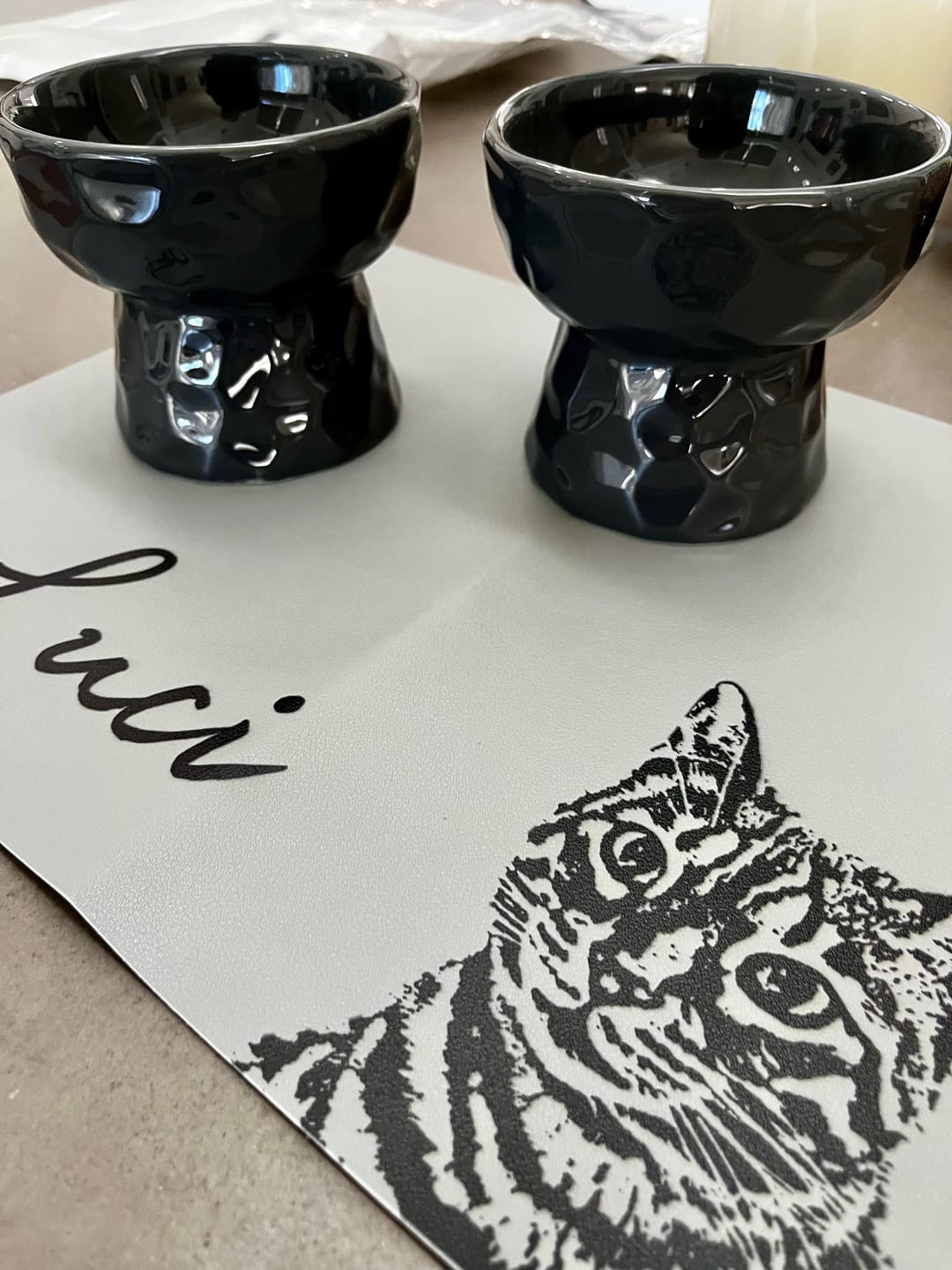 Customer photo review of Ceramic Raised Pet Bowl for Cats and Dogs