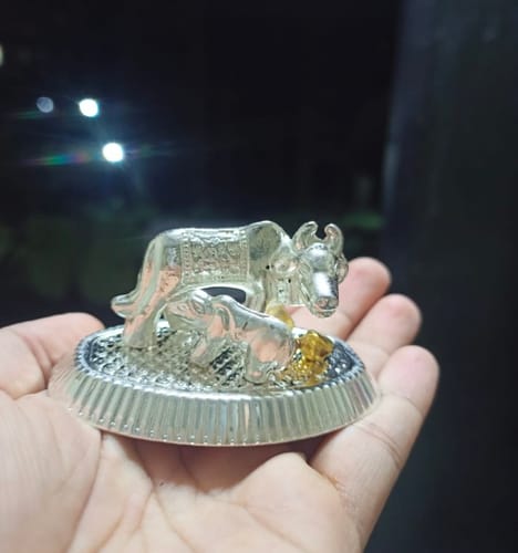 Customer photo review of Mini Cow & Calf Silver