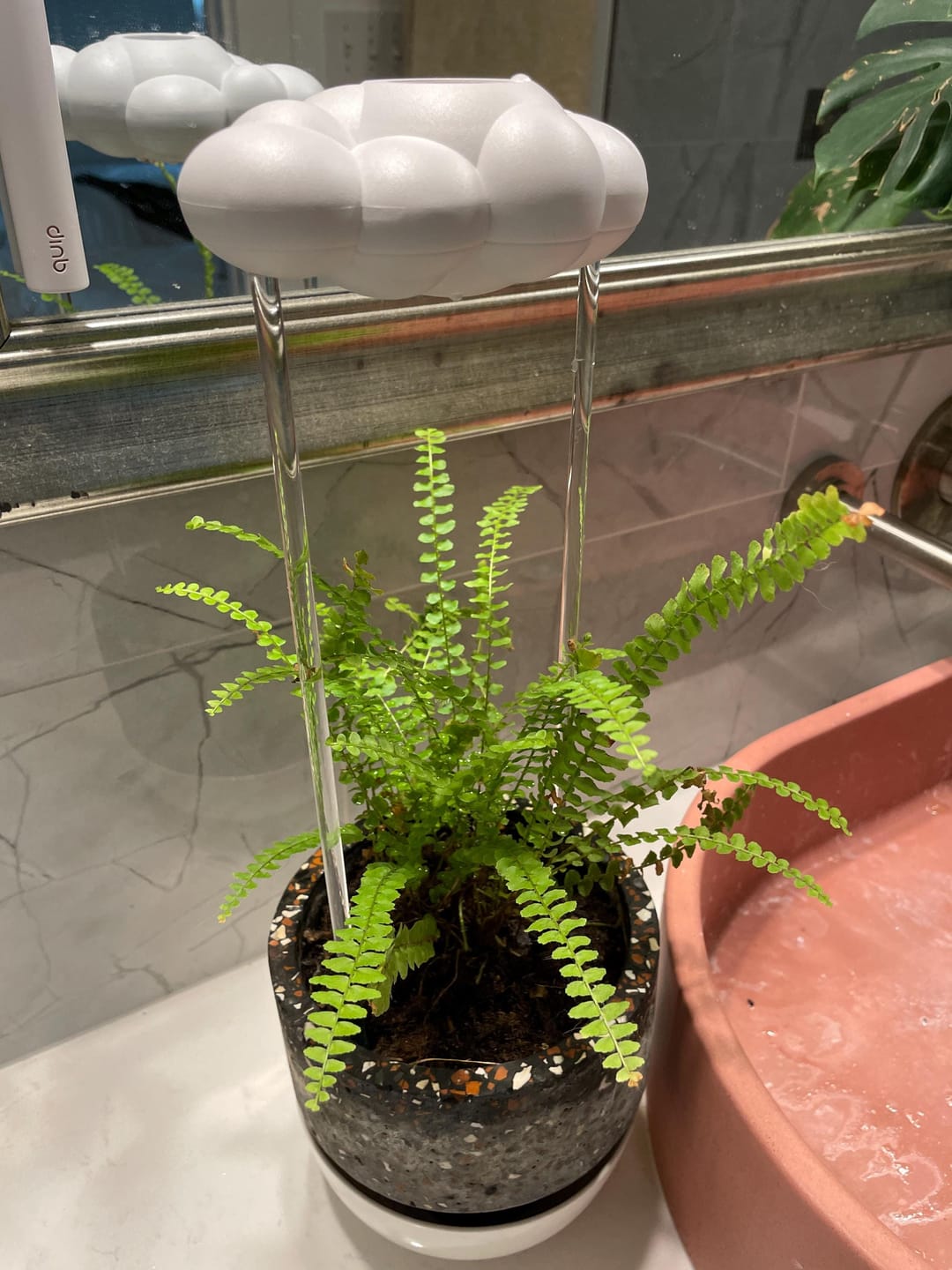 Customer photo review of Original Dripping Rain Cloud