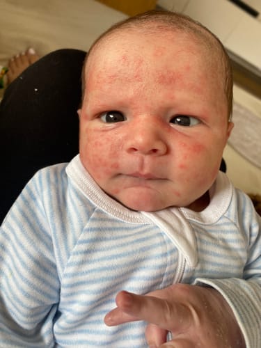 Customer photo review of Hemp Seed Butter