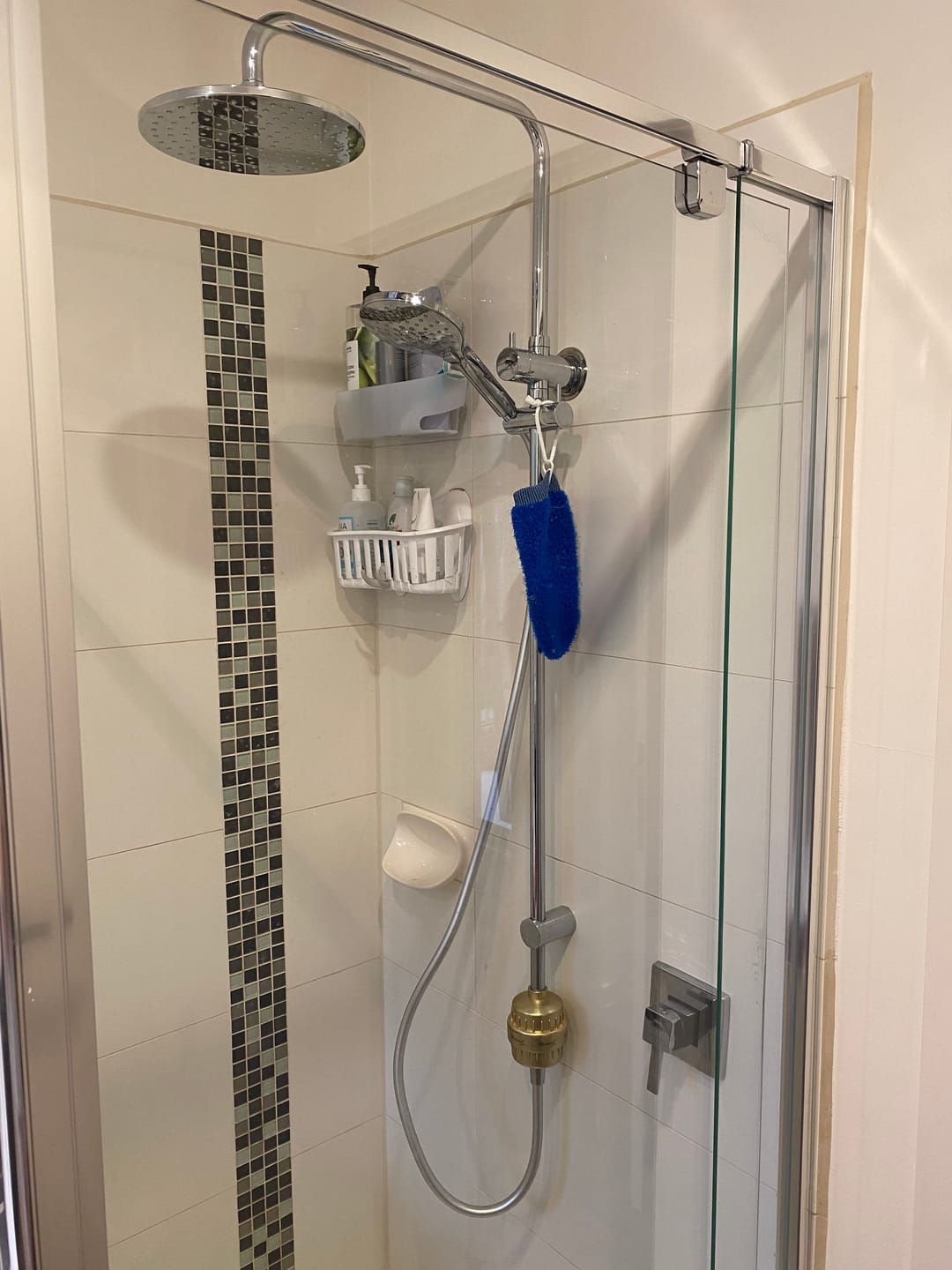 Customer photo review of Shower Purifier - Brushed Gold