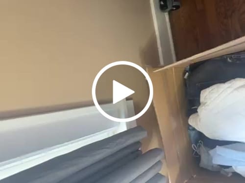 Customer video review of Women's Most Wanted Brands Secondhand Wholesale Clothing