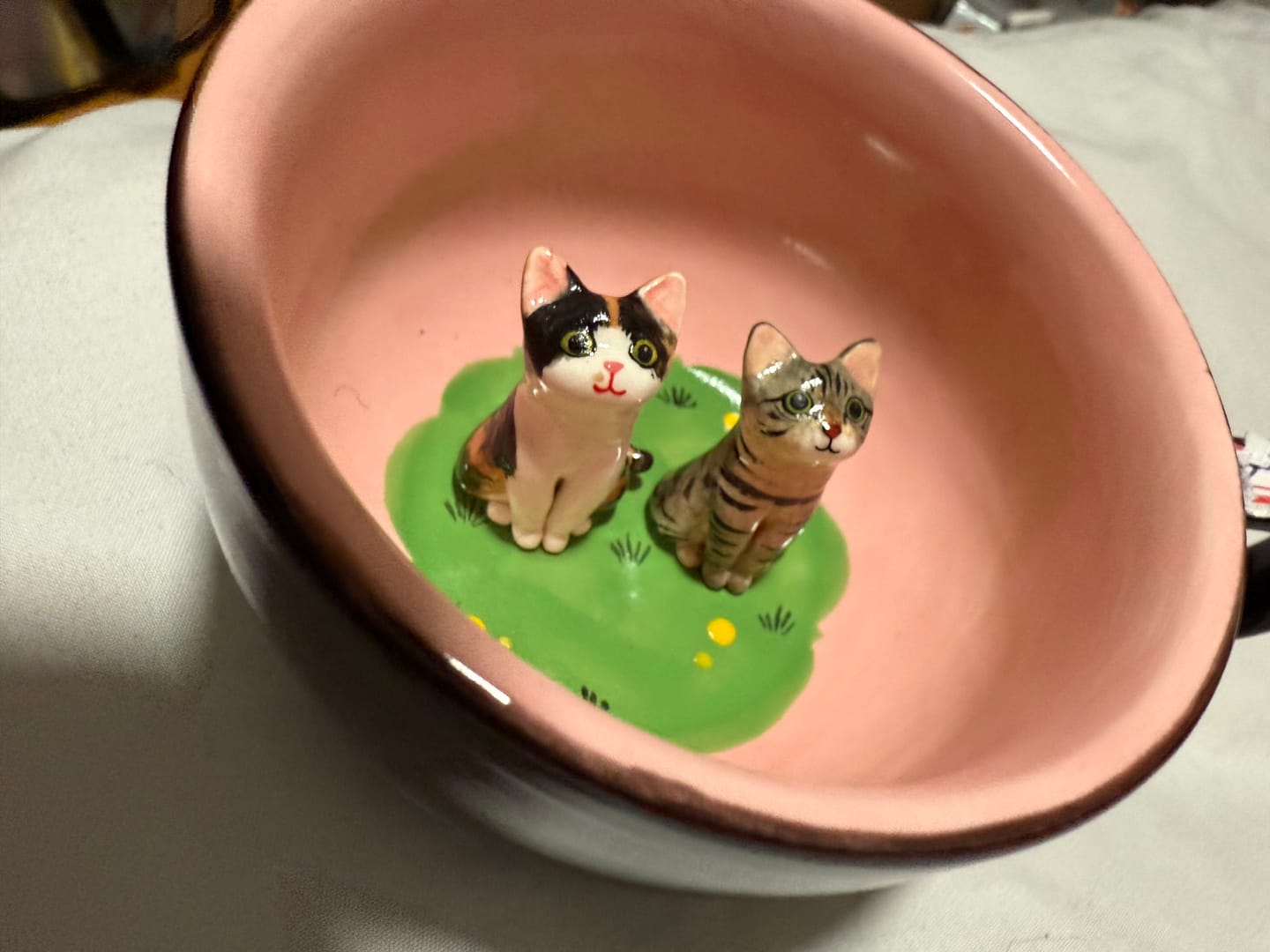 Customer photo review of Handmade Custom Pet's Figure Ceramic Mug-Aesthetic