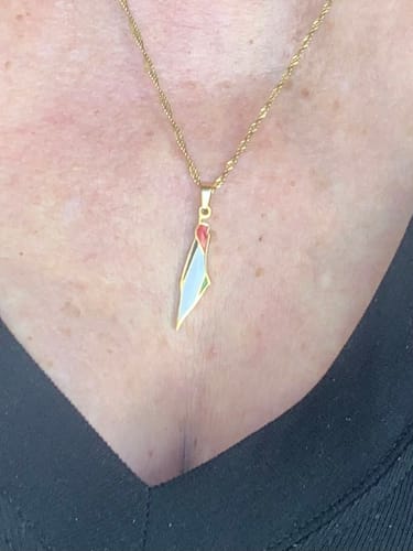 Customer photo review of Shipping Protection