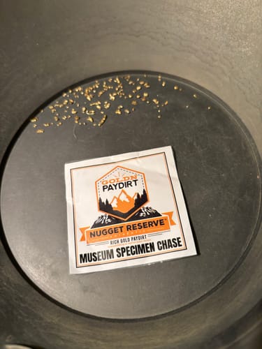 Customer photo review of Nugget Reserve 'MUSEUM SPECIMEN CHASE' - Gold Panning Paydirt