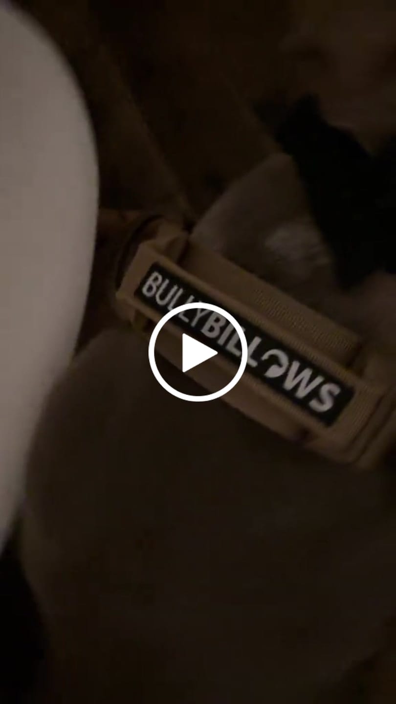 Customer video review of 1.4m Lighter Swivel Combat Lead | Anti-Tangle & Secure Clip - Tan x Tan