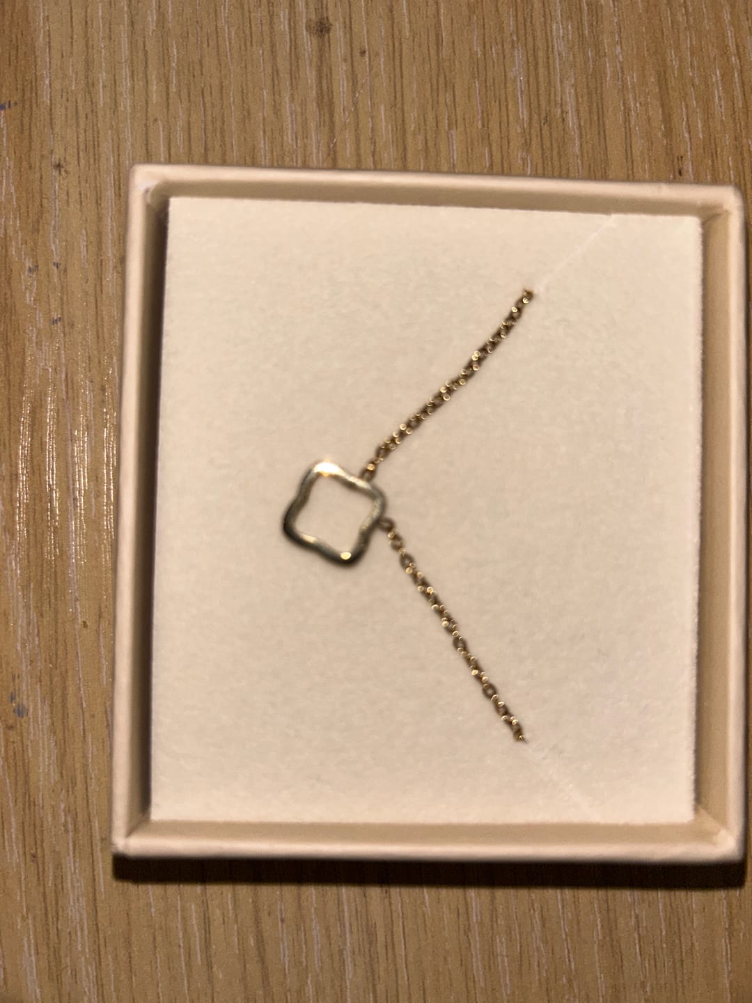 Customer photo review of Fiona Necklace