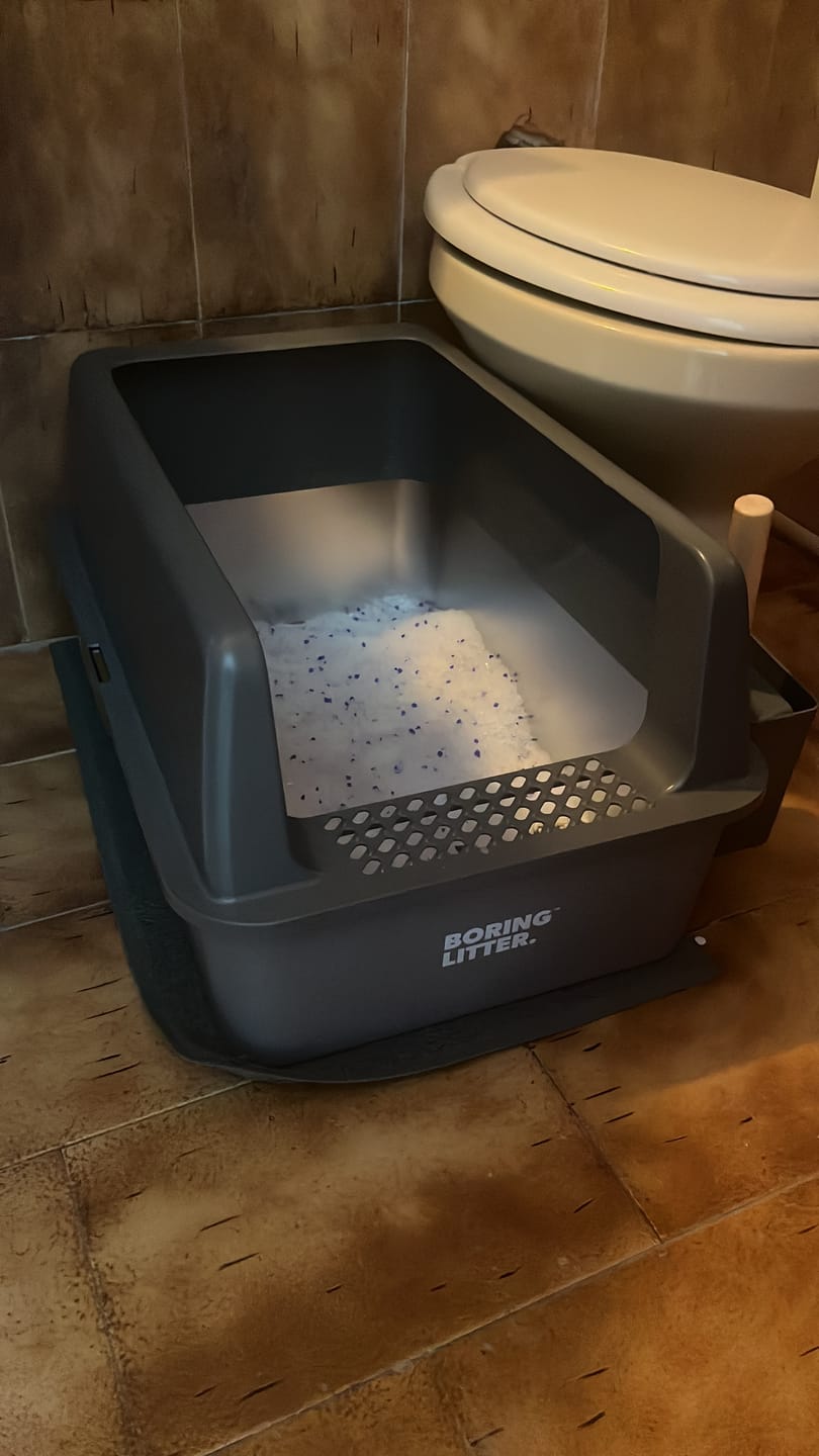 Customer photo review of BORING LITTER - Lettiera in Acciaio INOX