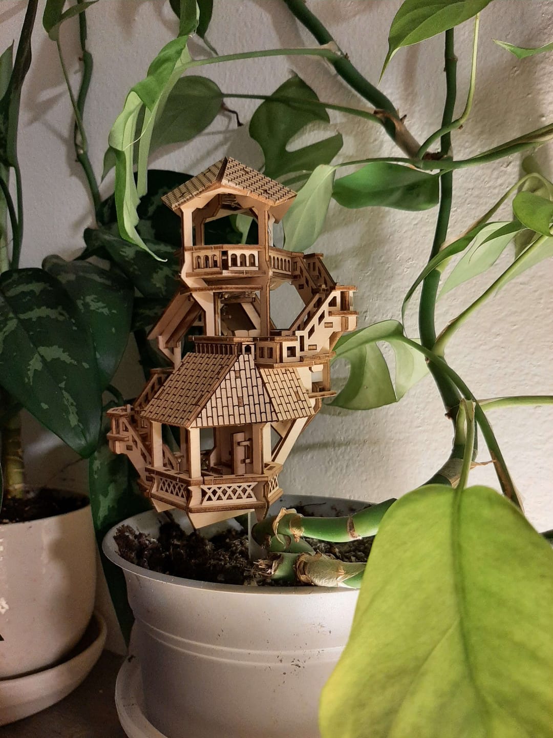 Customer photo review of Forest Cottage
