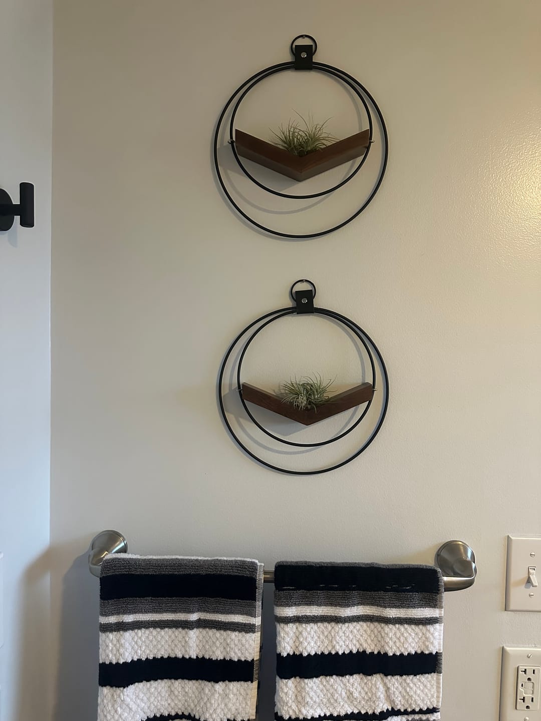 Customer photo review of Air Plant V-Hanger