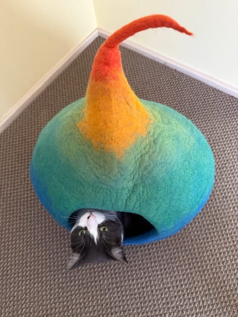 Customer photo review of Cat Cave - Rainbow Teardrop