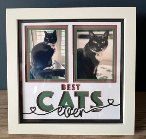 Customer photo review of Crafting Memories SVG Mega Bundle