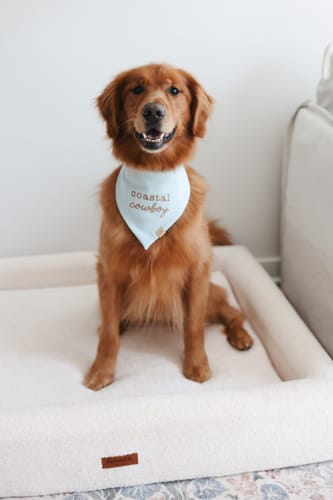 Customer photo review of Custom Saying Embroidered Bandana