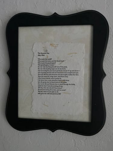 Customer photo review of “The Summer Day” by Mary Oliver Art Print