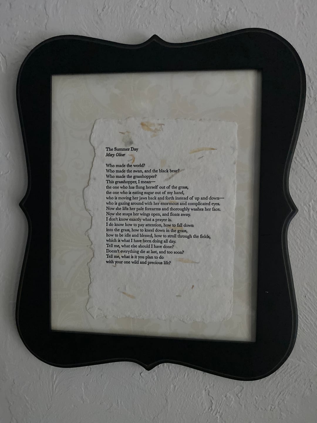 Customer photo review of “The Summer Day” by Mary Oliver Art Print