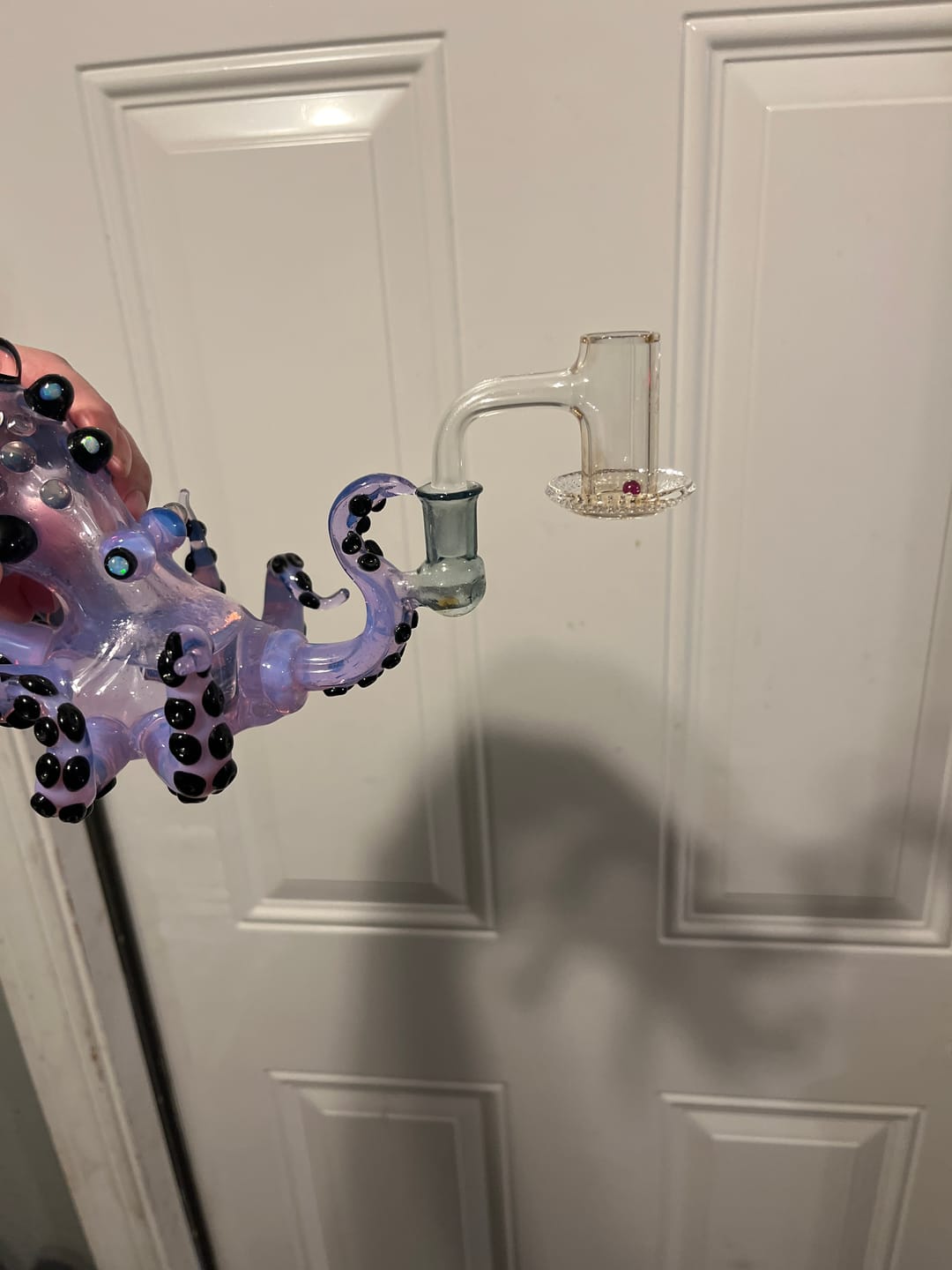 Customer photo review of V2 Blender