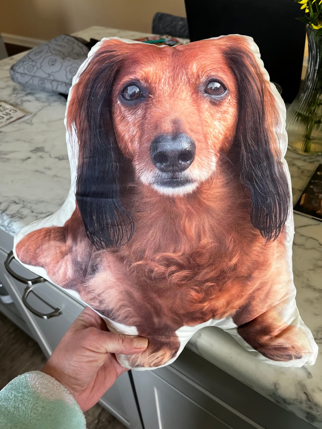 Customer photo review of Custom Pet Shaped Pillow that Look Like your Pet - ThePetPillow