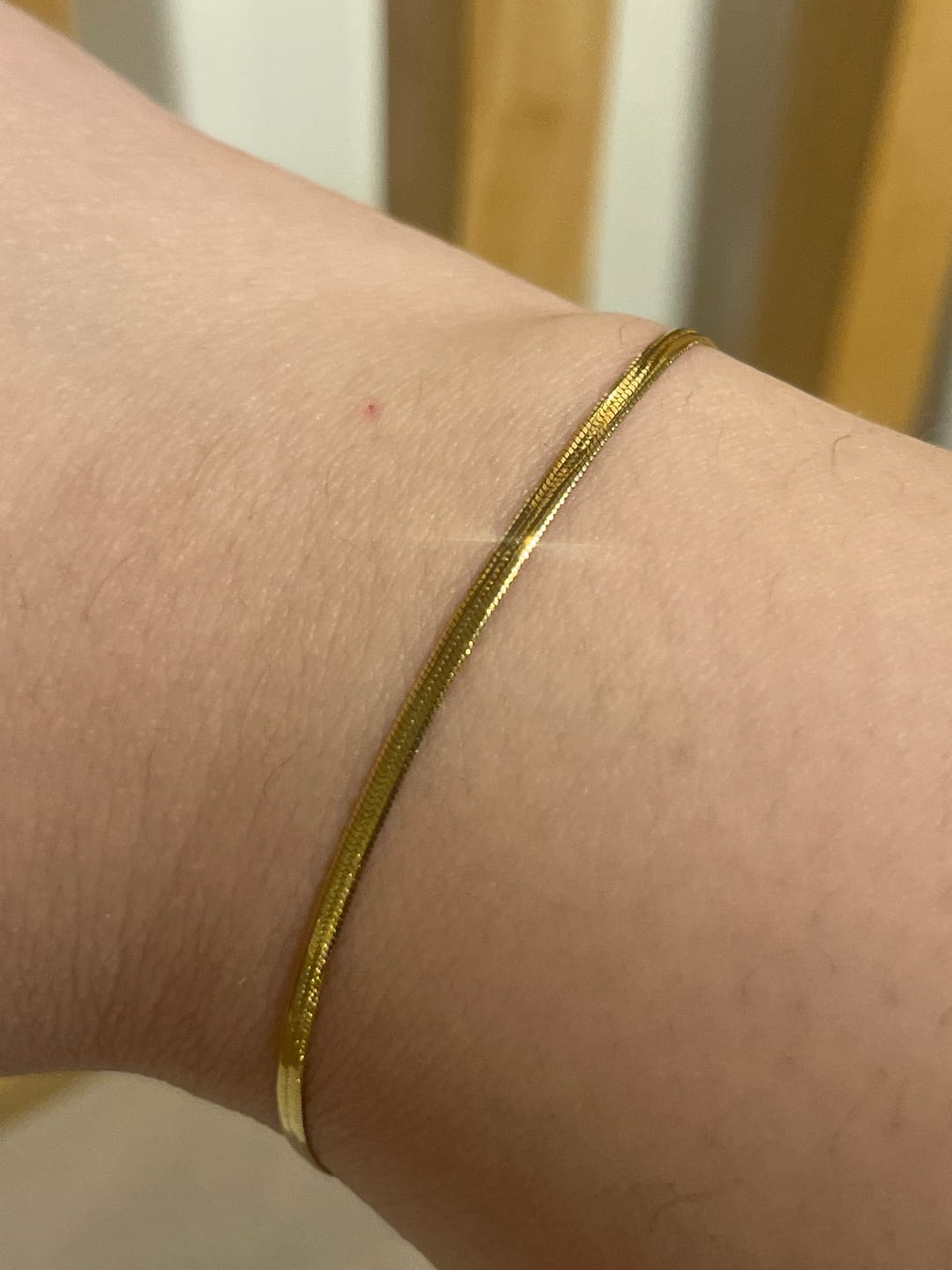 Customer photo review of Fine Essentials Bracelet