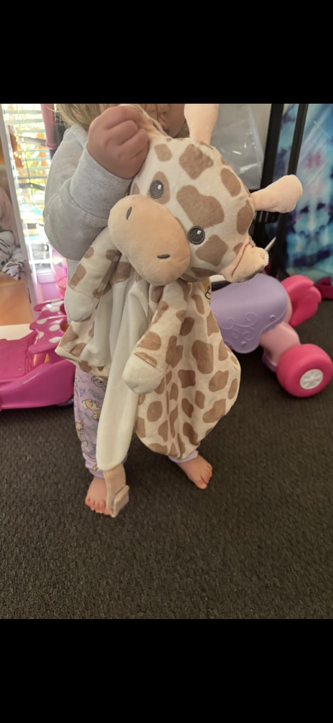 Customer photo review of Shay the Giraffe