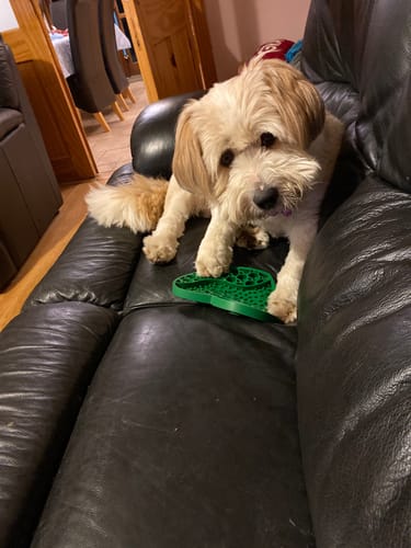 Customer photo review of Mystery Item