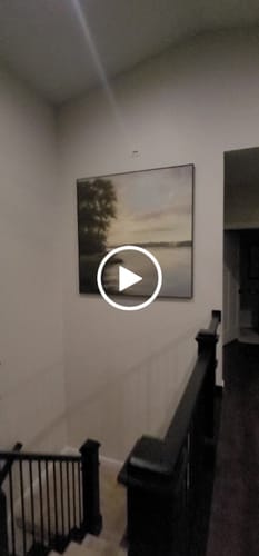 Customer video review of Modern Abstract Painting #ABLS40