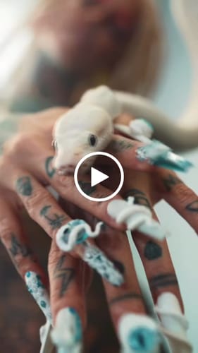 Customer video review of Siva Nail, Serpent Vision, Enchanted Eye, Handmade Press on Nails