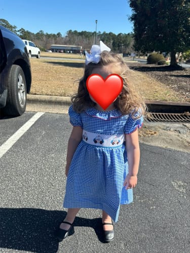 Customer photo review of Police Car Smocked Royal Gingham Beverly Dress