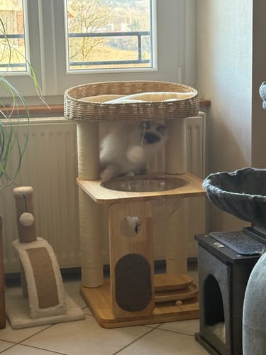 Customer photo review of Arbre à chat - Citadelle Miauleuse