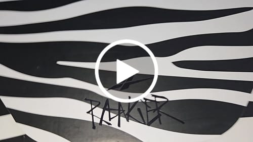 Customer video review of Ranger1 Zebra