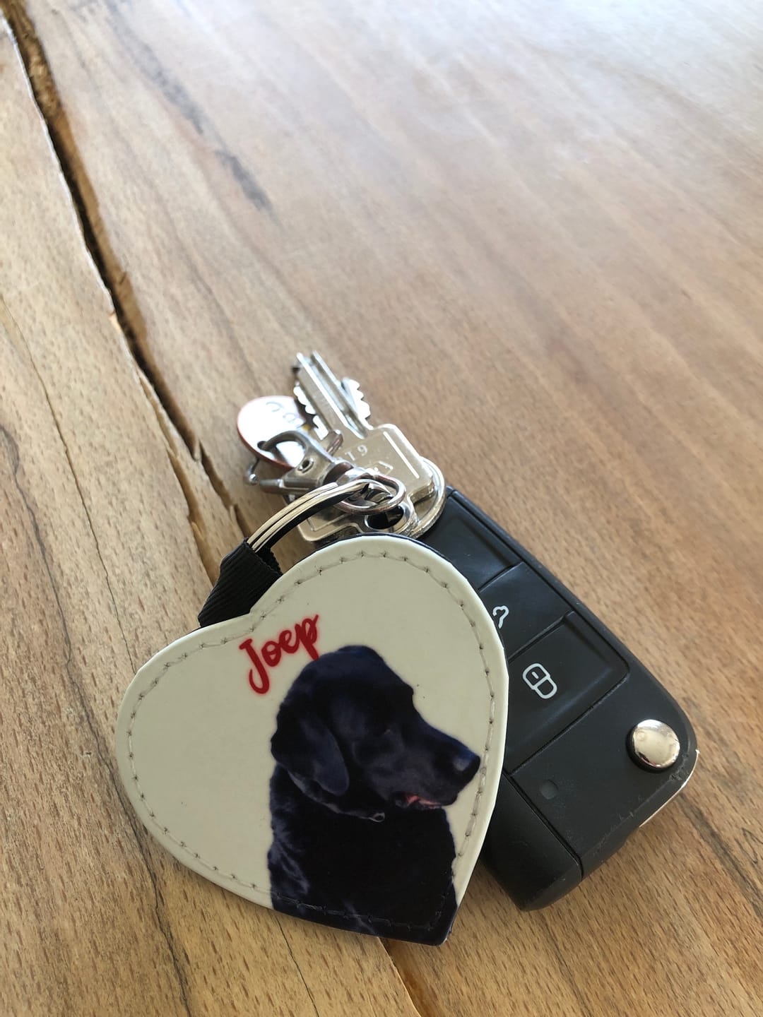 Customer photo review of Huisdier portret - Gepersonalliseerde sleutelhanger
