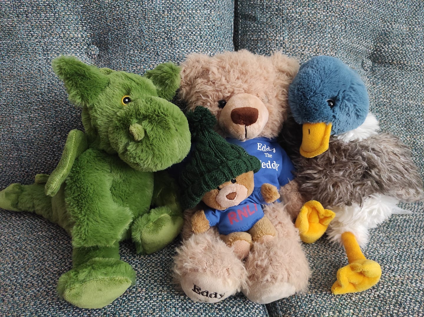 Customer photo review of Eddy The Teddy Bear