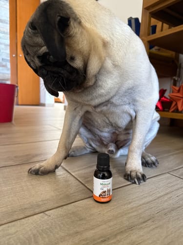 Customer photo review of Midoxal Suspensión