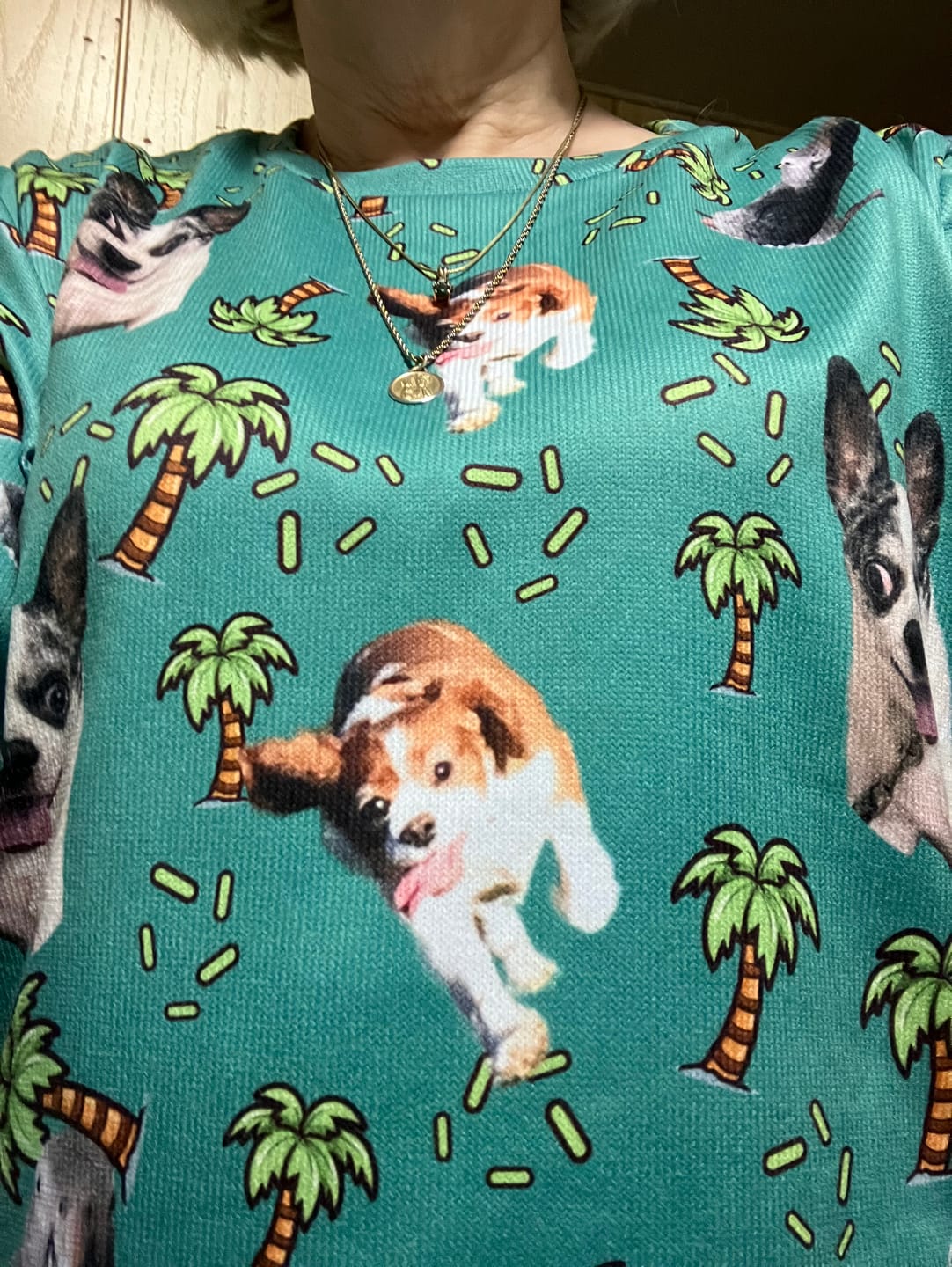 Customer photo review of Custom Your Own Sweatshirt With Your Pet Face