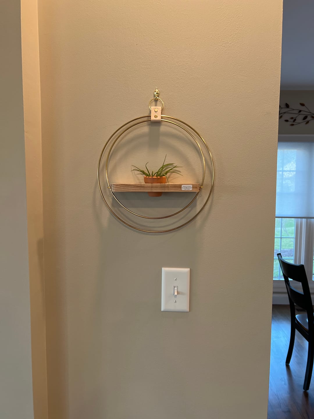Customer photo review of Air Plant Shelf + Pot