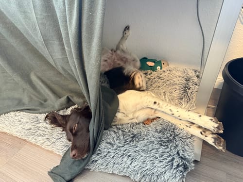 Customer photo review of Relax Time