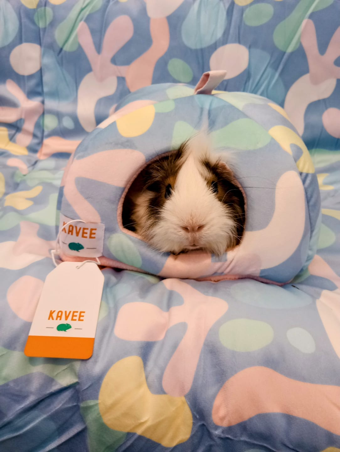 Customer photo review of Homely Fleece Hidey | Pigcasso
