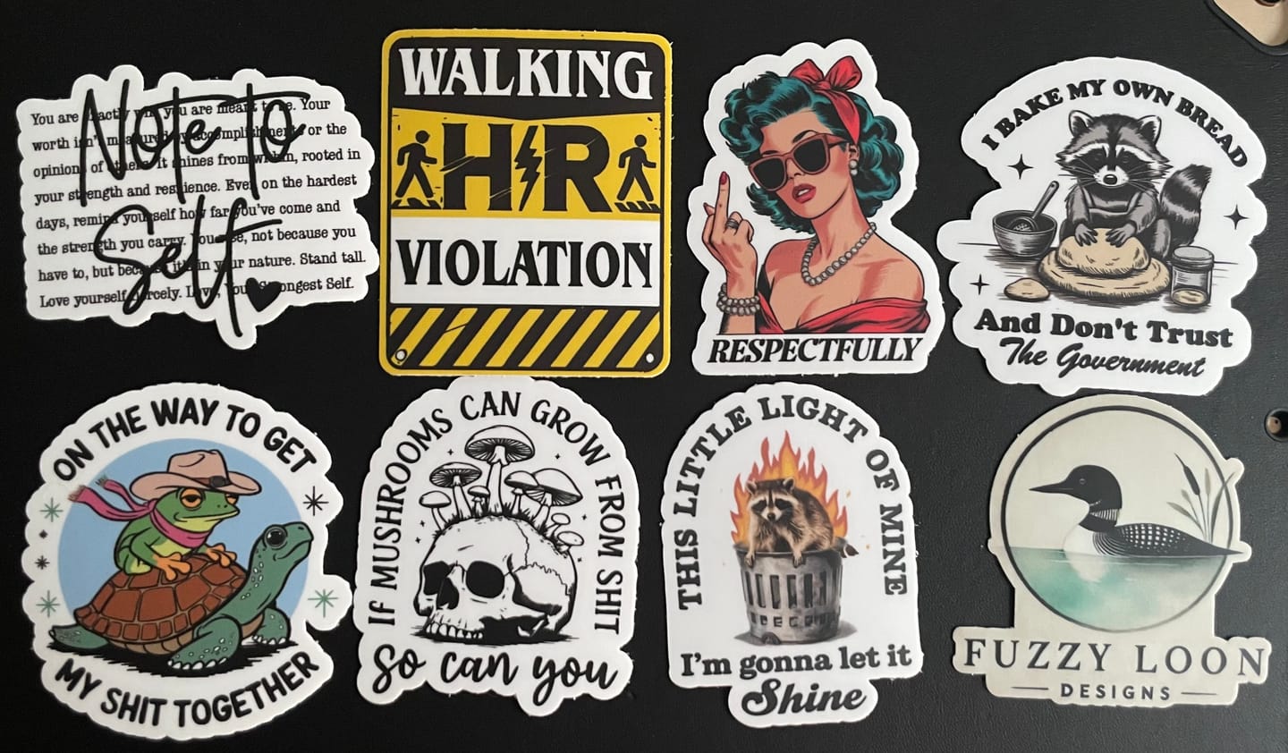Customer photo review of STICKER CLUB | Monthly Sticker Subscription