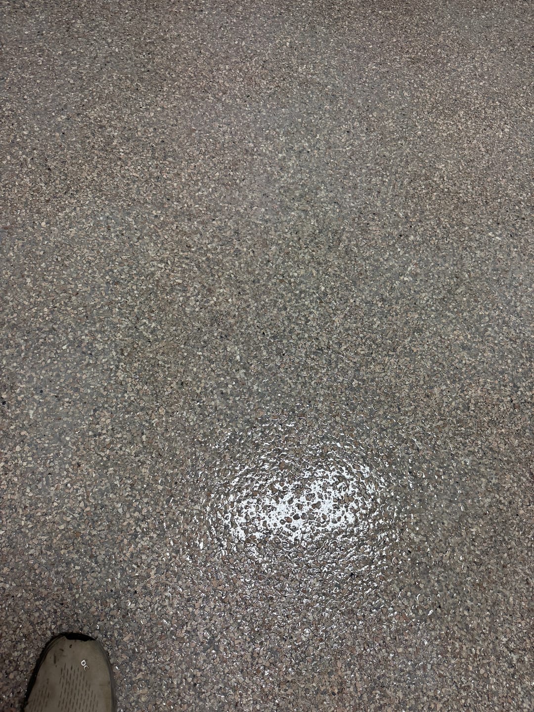 Customer photo review of Polyaspartic Floor Coating - Rockhard Poly 2 Gal. Kit