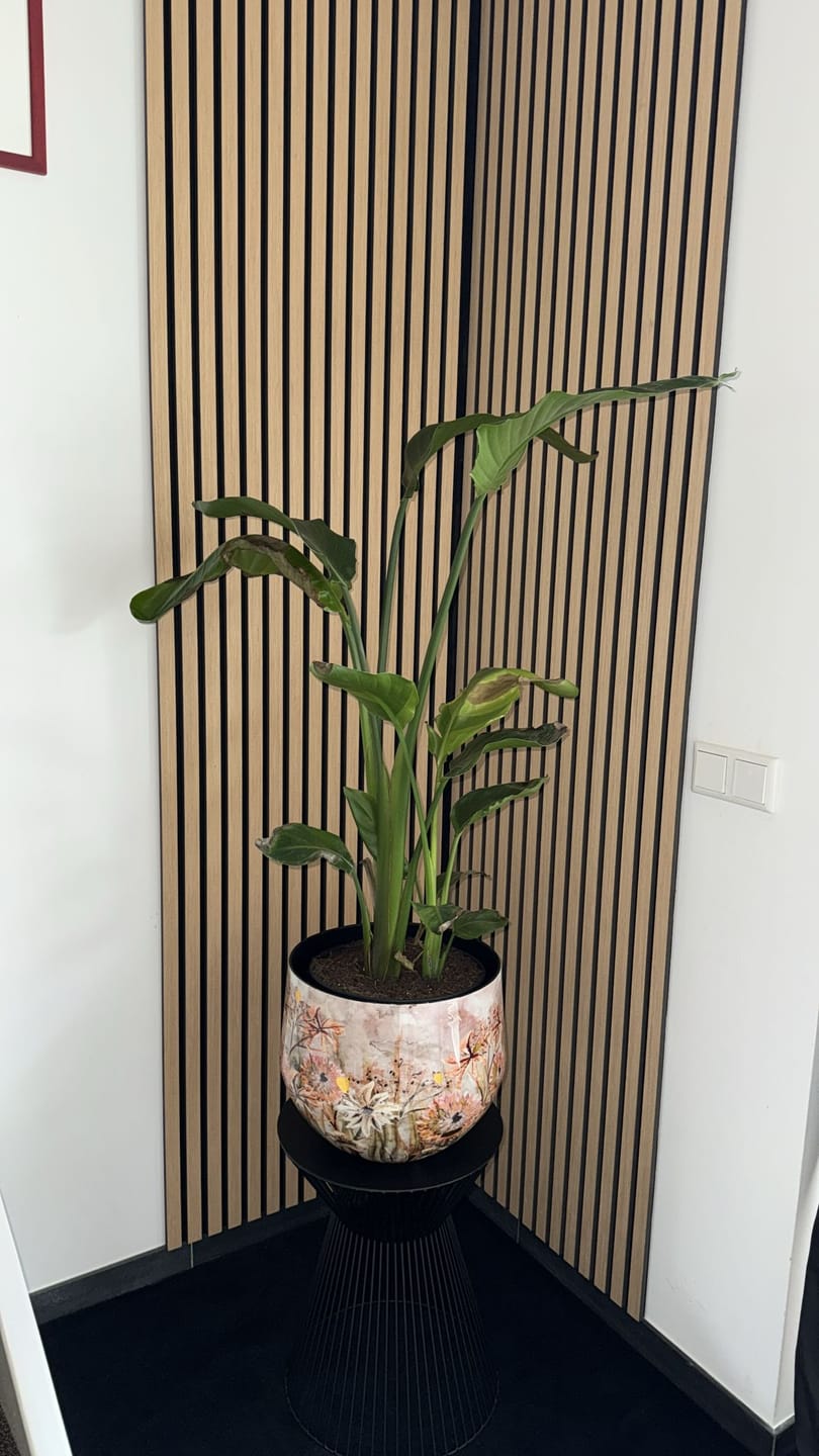 Customer photo review of Wandpaneel 280cm - Standaard - Licht eiken met zwart vilt