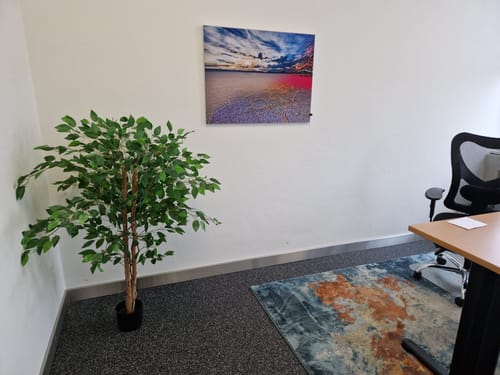 Customer photo review of Kunst Ficus 130cm
